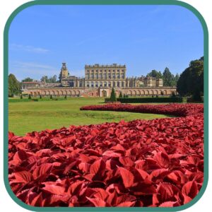 Cliveden National Trust estate walk in Buckinghamshire
