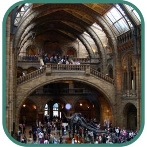 Natural History Museum dinosaur skeleton display in London Hintze Hall