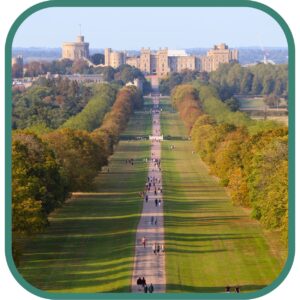 Windsor Great Park Long Walk tree-lined avenue and deer landscape